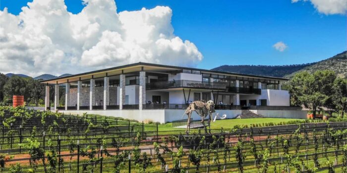 Wine, Dinosaurs, and Mountain Horizons