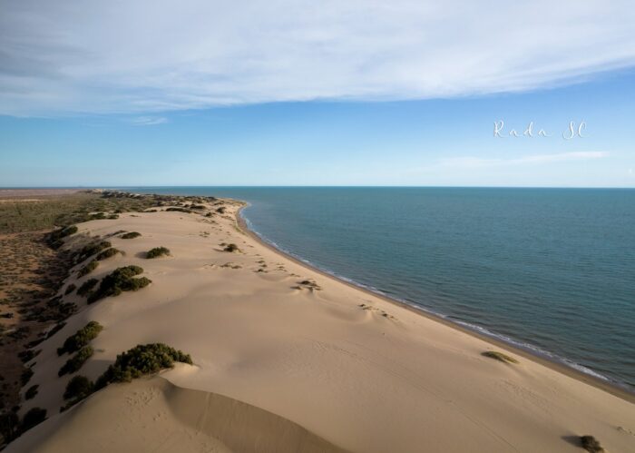El Cardonal Beach & The Sahuimaro Dunes: Where Desert Meets Sea