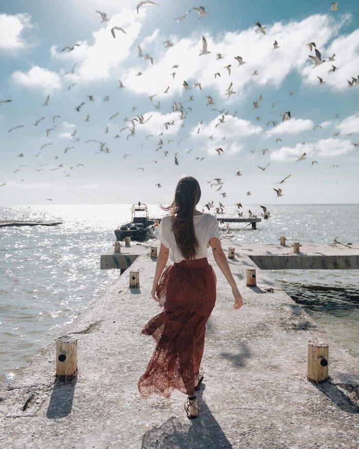 A Biodiversity Encounter at the House of the Crocodile