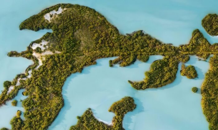 Yucatan Beaches: Mangroves, Ruins, and the Emerald Coast