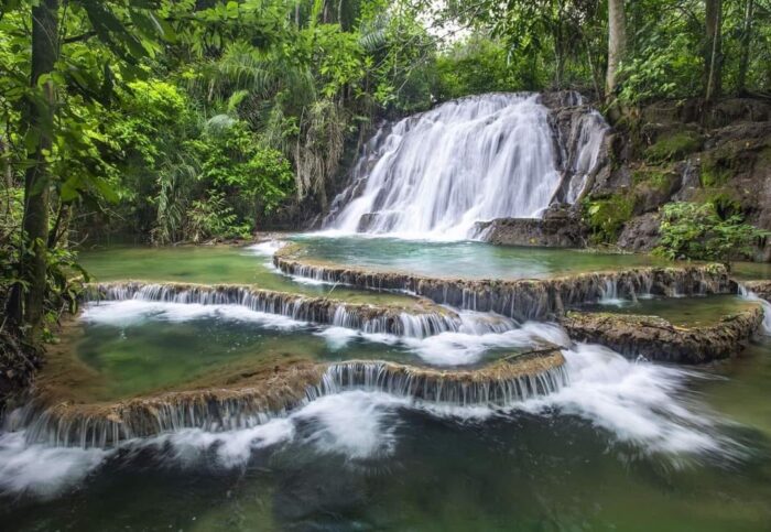 From Cacao to Chocolate: A Journey Through Tabasco
