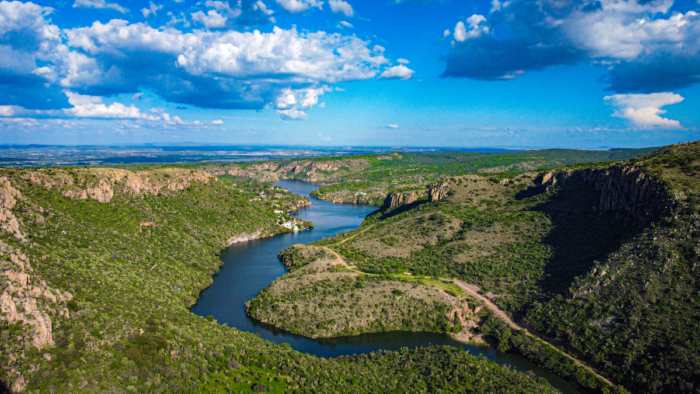 Live Aguascalientes Express | Vineyards and Magic Towns