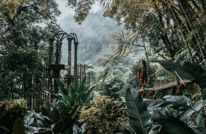 Huasteca Adventure: Waterfalls, Jungle, and Surrealism