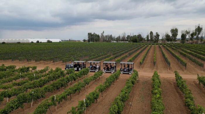 A Day at Tierra Adentro Vineyards