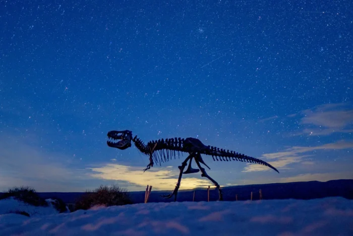 The Origin of Life: Total Relaxation in Cuatro Ciénegas