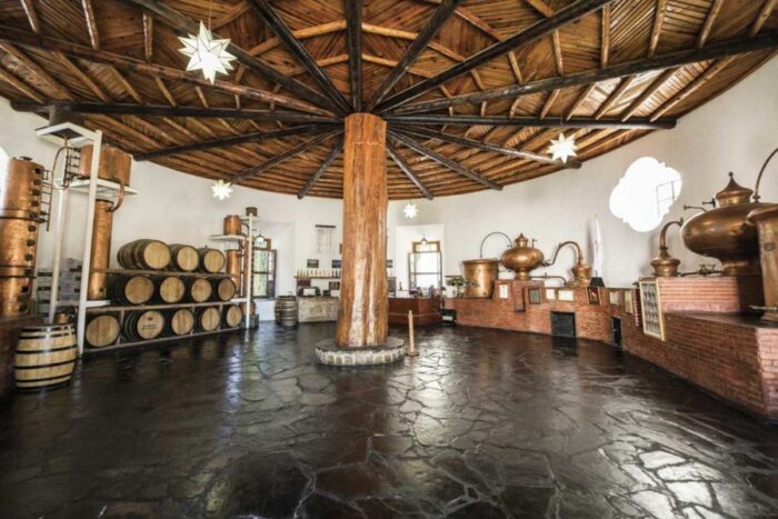Wines & Dinos Route: History and Tradition