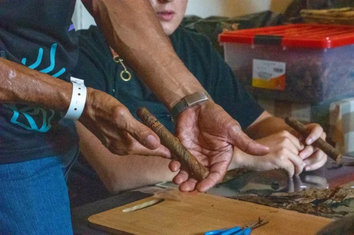 Tobacco and Coffee Route: A Sensory Journey