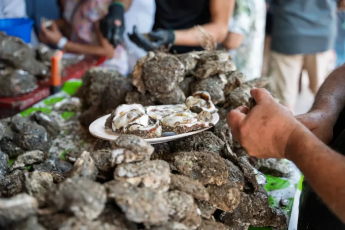 The Oyster Route: Aticama’s Flavors and Legends