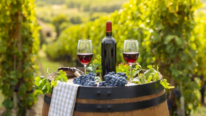 Vineyards, Traditions, and Gastronomy in El Bajío