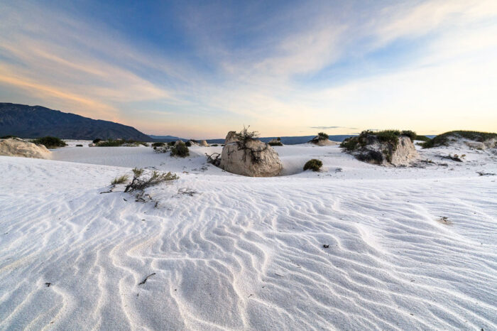 Coahuila Experience: Jewels of the Desert