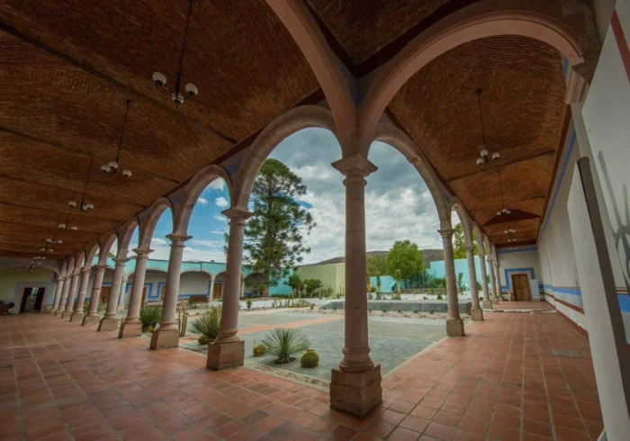 Aguascalientes Unveiled | Vineyards, Magic Towns, and Enotourism