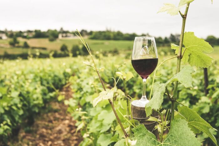 Aguascalientes: A Land of Wine, Magical Towns, and Historic Haciendas