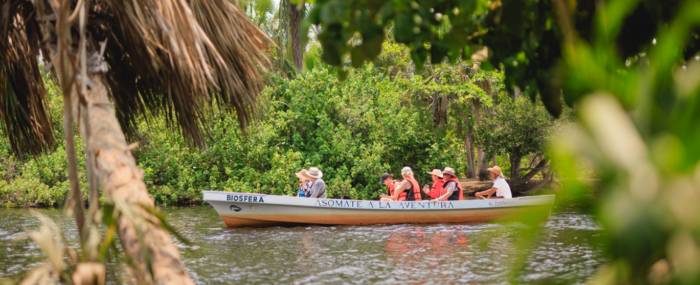 Todo terreno: bahías de Huatulco con tour a Ventanilla y liberación de tortugas