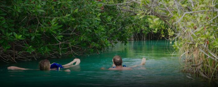 Maya Ka’an, el juego de la selva