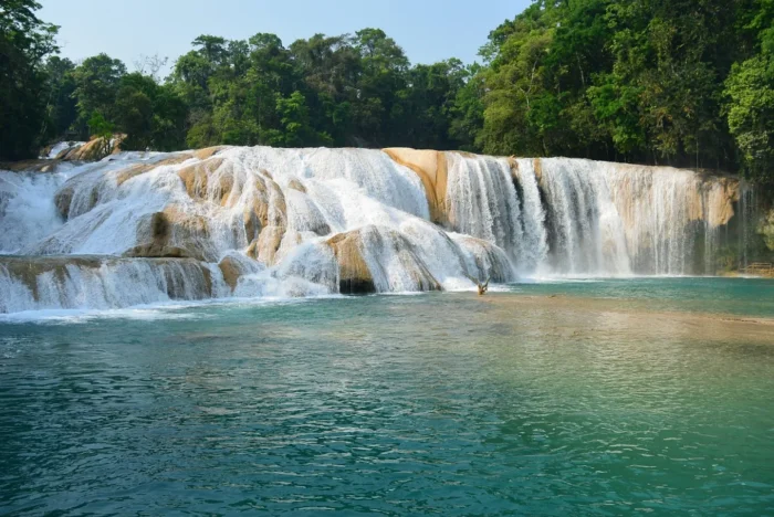 Pasión Mundial y tesoros mayas: de la capital a la selva