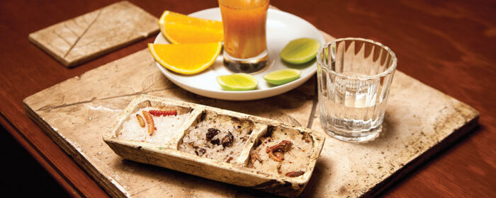 De novato a experto: degustación guiada de mezcales premium