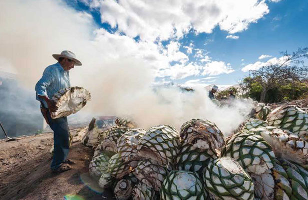 Caminos del mezcal