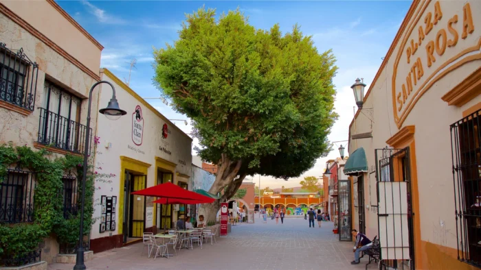 Ruta del queso y del vino en Tequisquiapan